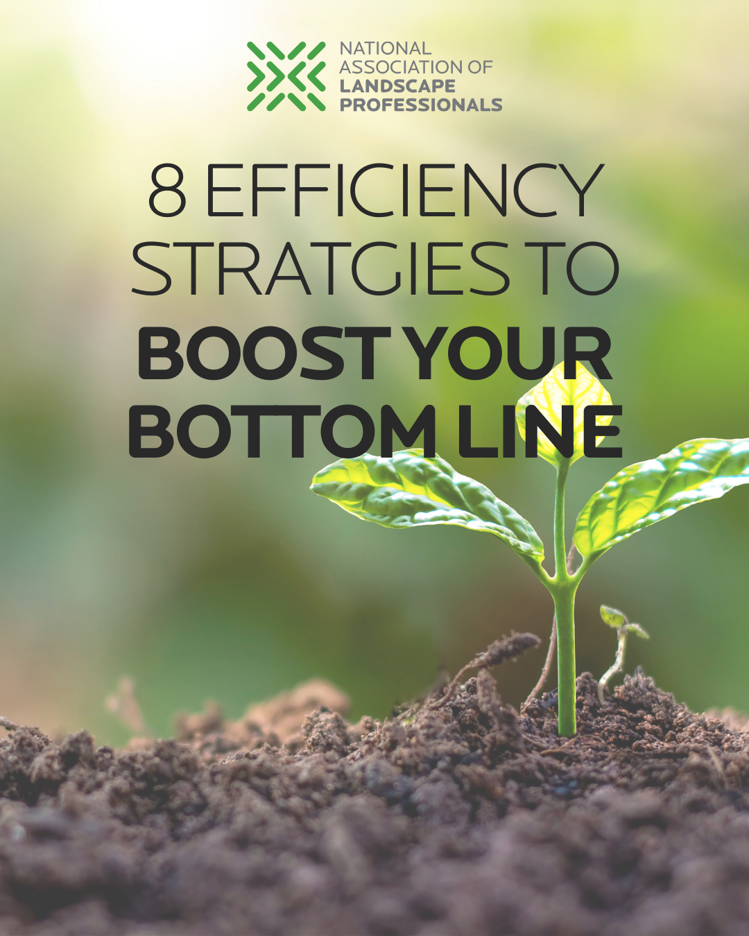 Efficiency strategies report - membership marketing-1