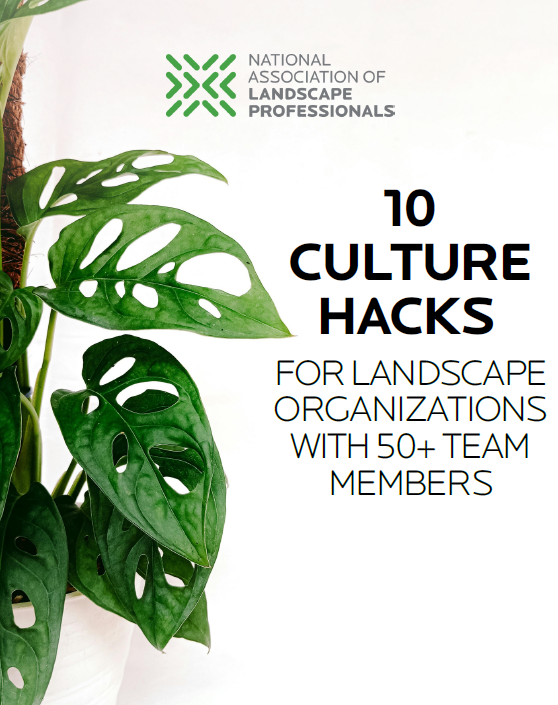 Screenshot 2025-11-21 074132